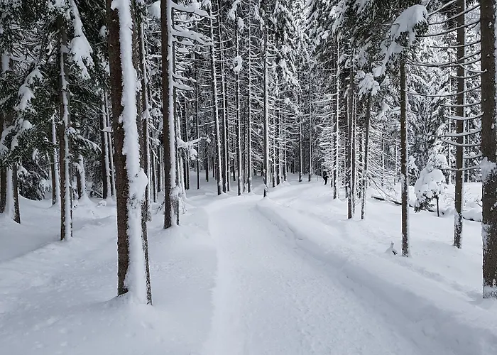 Bergresort Seefeld Hotel