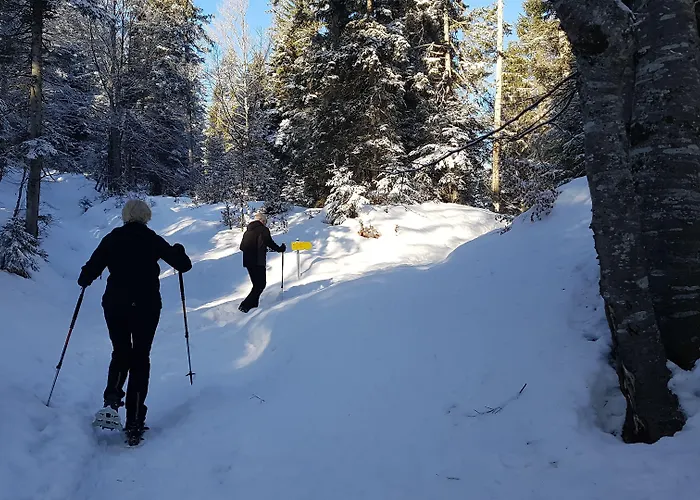 Bergresort Seefeld Отель
