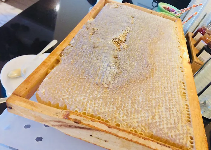 酒店 伯格瑞斯特泽费尔德酒店 蒂罗尔-泽费尔德