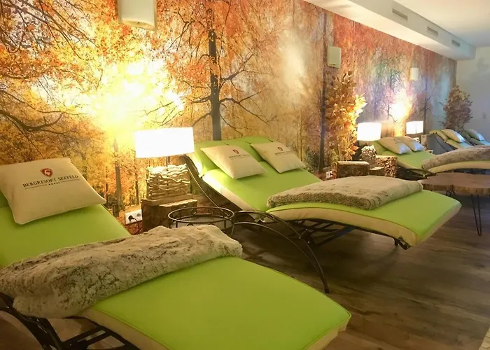 伯格瑞斯特泽费尔德酒店 4*