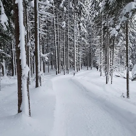 Bergresort Seefeld Отель